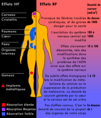 Effets sur le corps humain